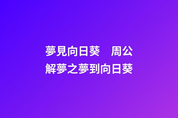 夢見向日葵　周公解夢之夢到向日葵